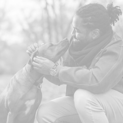 highlight-id-zV2gSev8aw